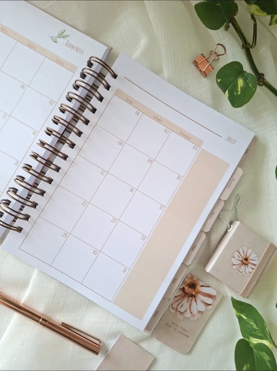 Planner Coordenador Pedagógico Inspiração 2027 - Imagem 6