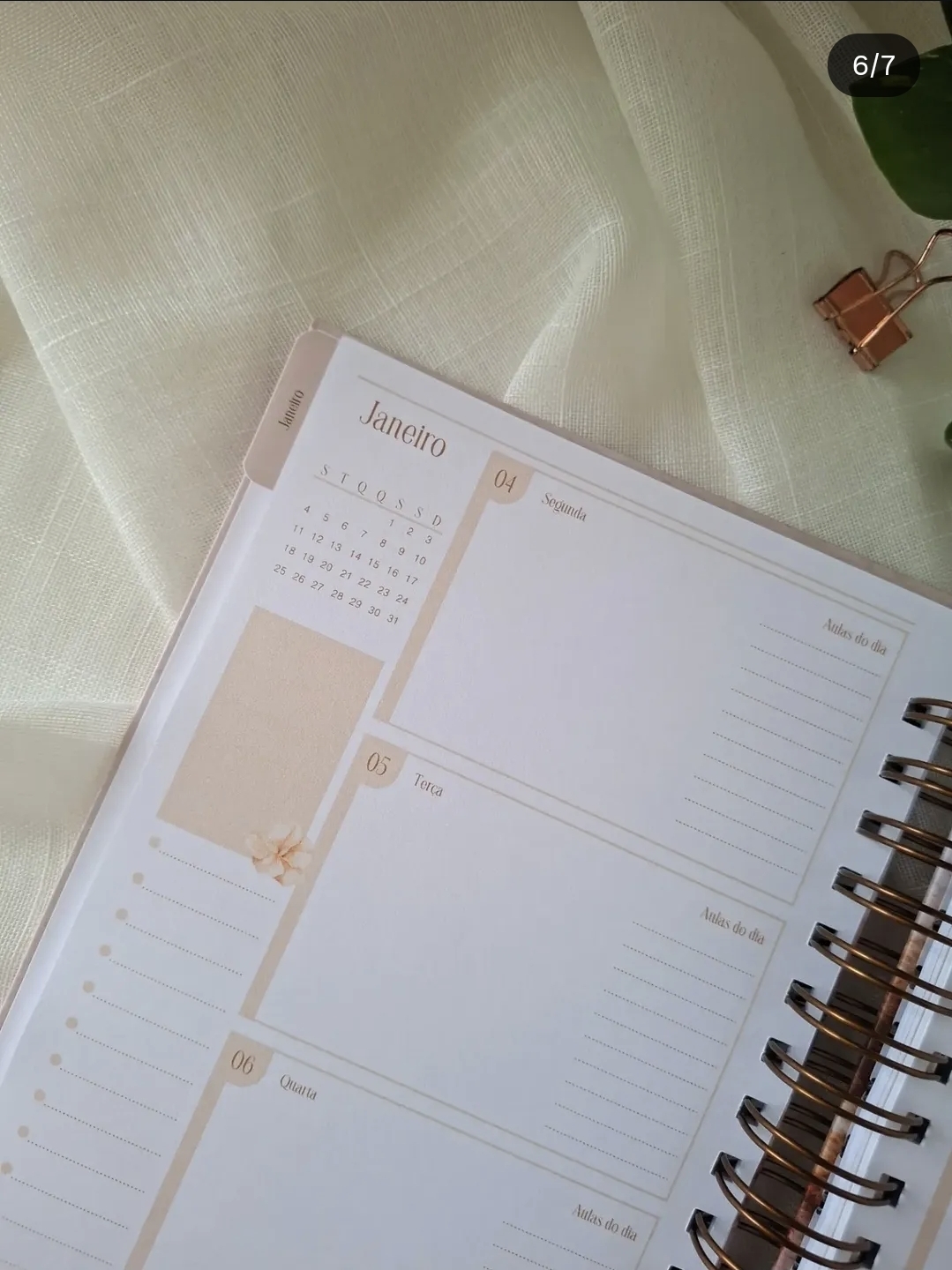 Planner Coordenador Pedagógico Inspiração 2027 - Imagem 7